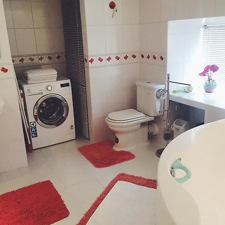 For Rent On Deribasovskaya Street *