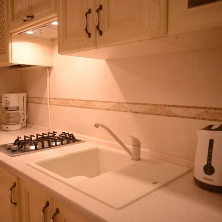 For Rent On Deribasovskaya Street Apartman Odessza