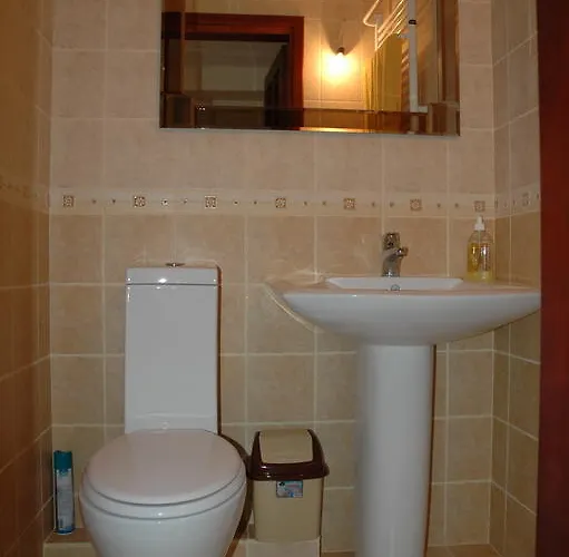 Apartman For Rent On Deribasovskaya Street Odessza