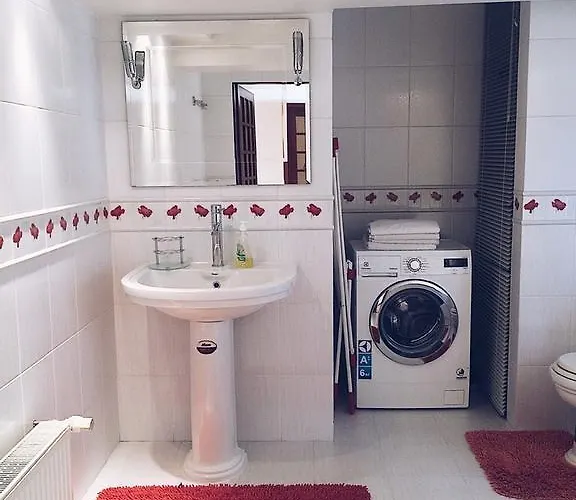 For Rent On Deribasovskaya Street Apartment *