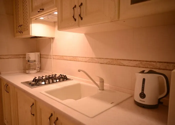 For Rent On Deribasovskaya Street Apartment Odesa