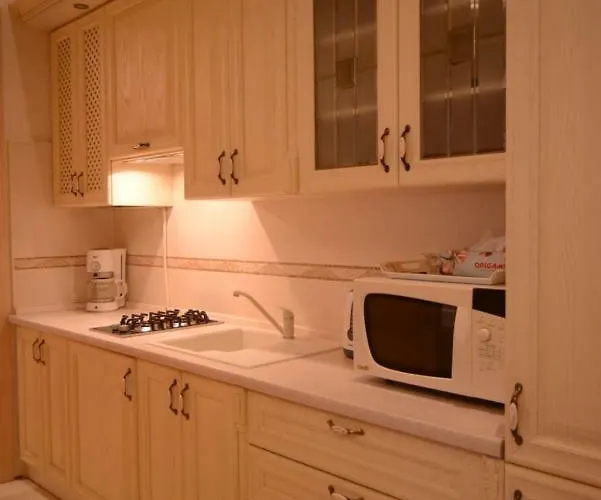 For Rent On Deribasovskaya Street Odessza